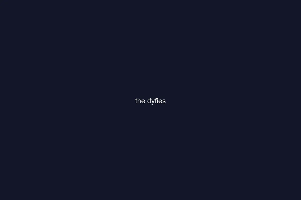 The Dyfies gallery image