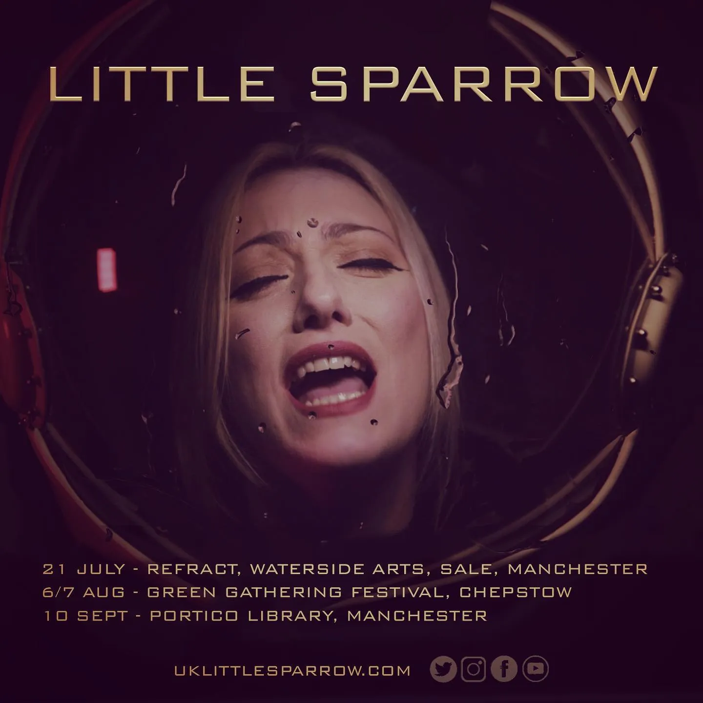 Little Sparrow gallery image