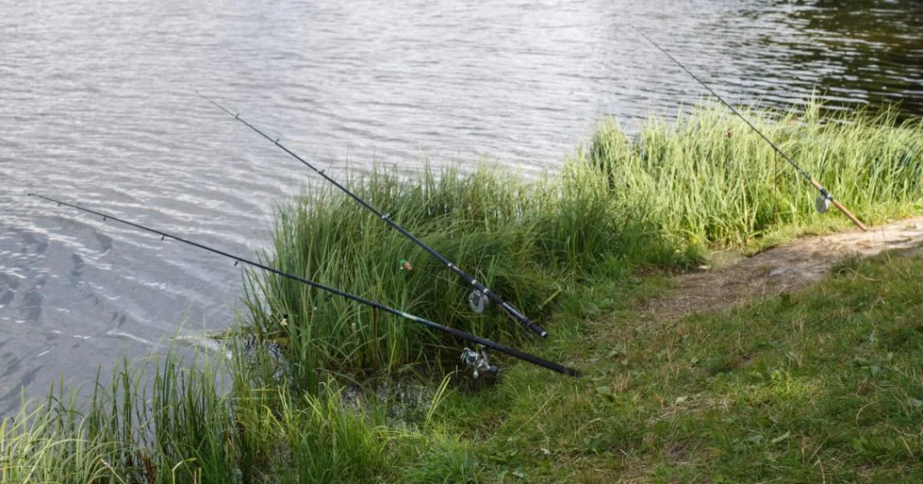 Lodge Farm Fishing